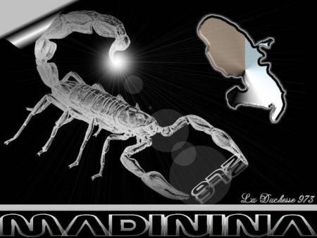 madinina 972